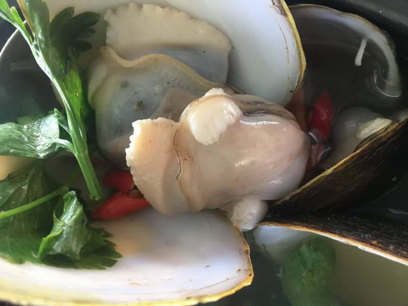 Mở miệng nỗi nhớ - vọp! Một thời kh&oacute; qu&ecirc;n! - Ảnh 4.