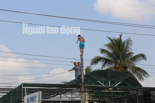 Nhiều giờ giải cứu nam thanh niên nghi ngáo đá leo cột điện la hét, nhún nhảy - Ảnh 4.