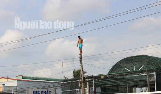 Nhiều giờ giải cứu nam thanh niên nghi "ngáo đá" leo cột điện la hét, nhún nhảy