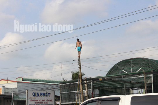 Nhiều giờ giải cứu nam thanh niên nghi ngáo đá leo cột điện la hét, nhún nhảy - Ảnh 2.