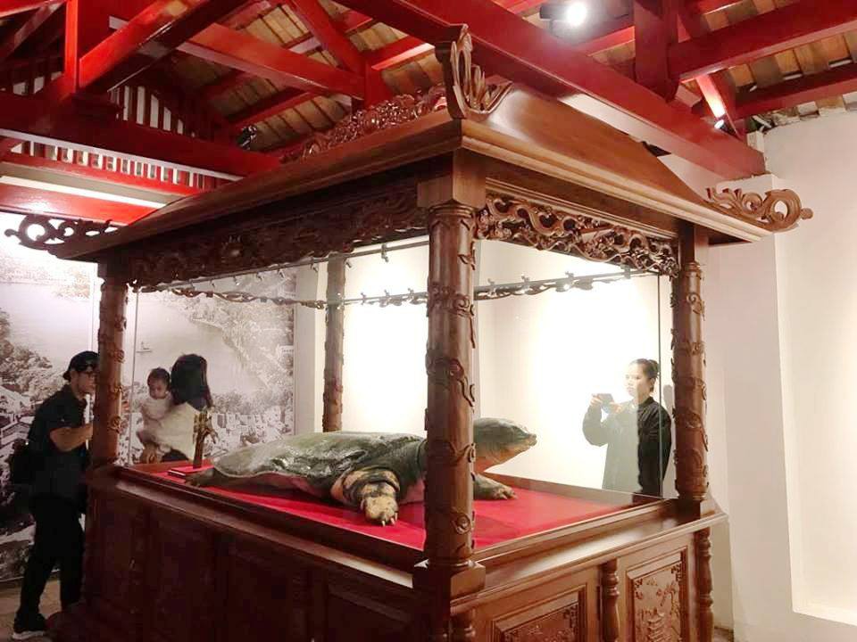 Ti&ecirc;u bản cụ r&ugrave;a hồ Gươm được đưa v&agrave;o trưng b&agrave;y ở đền Ngọc Sơn - Ảnh 5.