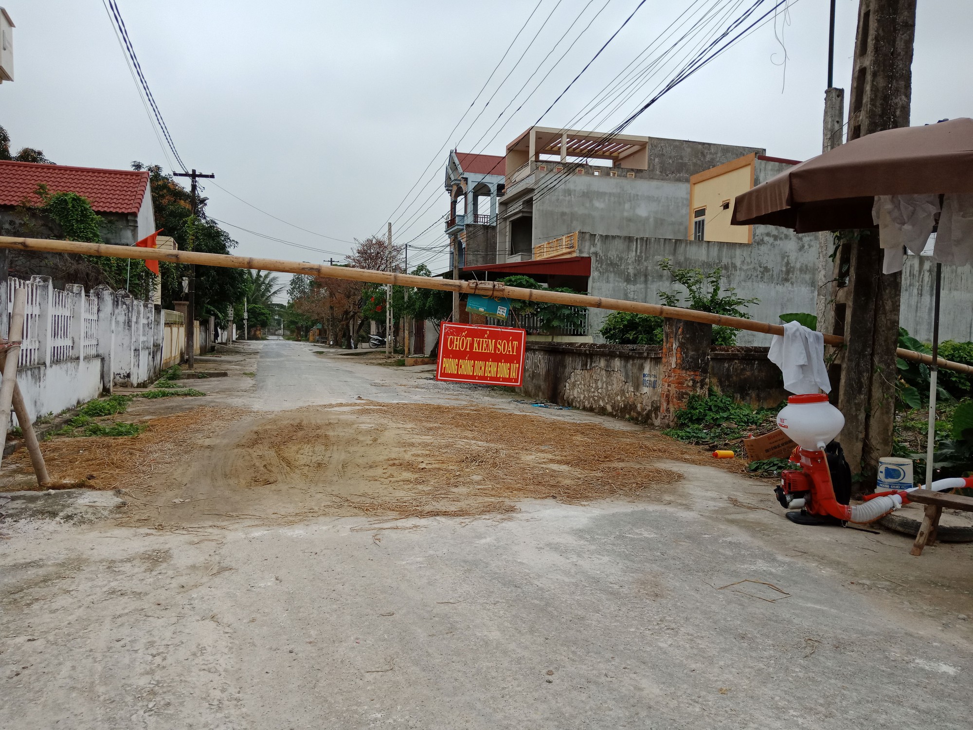 Dịch tả heo châu Phi lan ra 18 tỉnh, thành