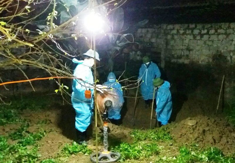Dịch tả heo châu Phi đã tràn về TP Thanh Hóa - Ảnh 1.