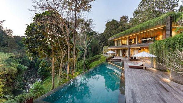 Căn nh&agrave; giữa rừng rậm vừa đẹp vừa tiện nghi - Ảnh 2.