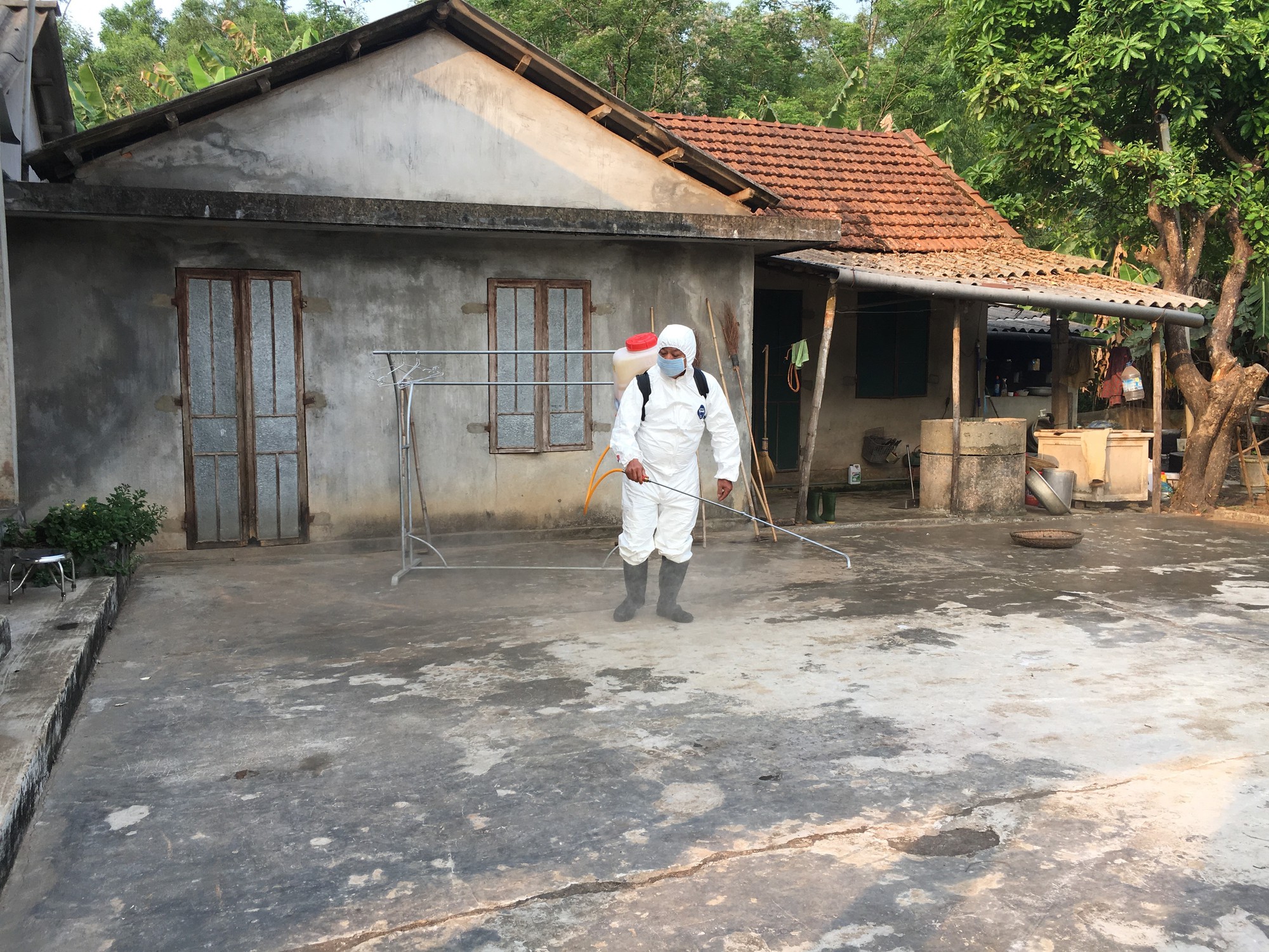 Dịch tả heo châu Phi đã lan đến Thừa Thiên - Huế