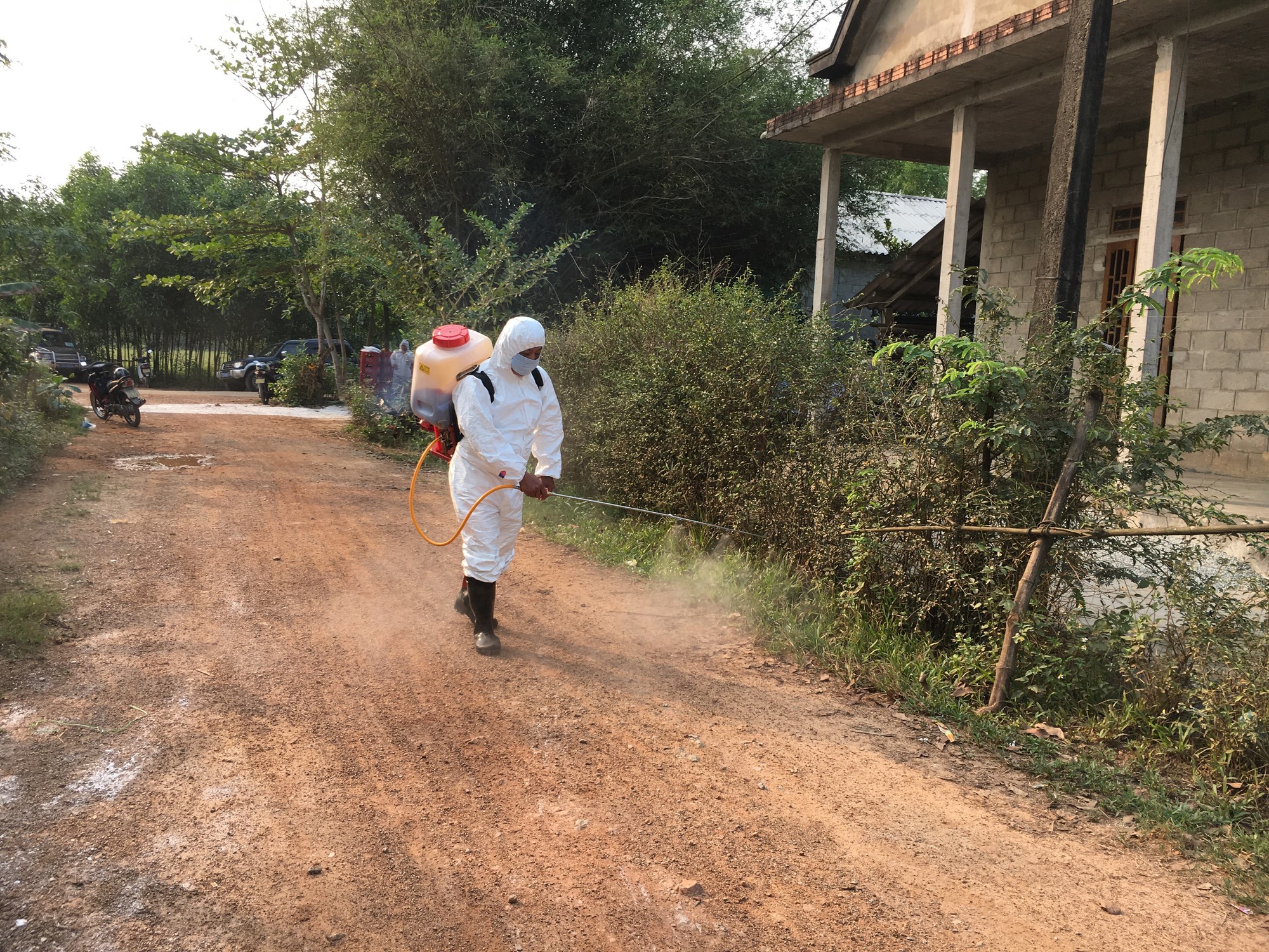 Dịch tả heo châu Phi đã lan đến Thừa Thiên - Huế - Ảnh 1.