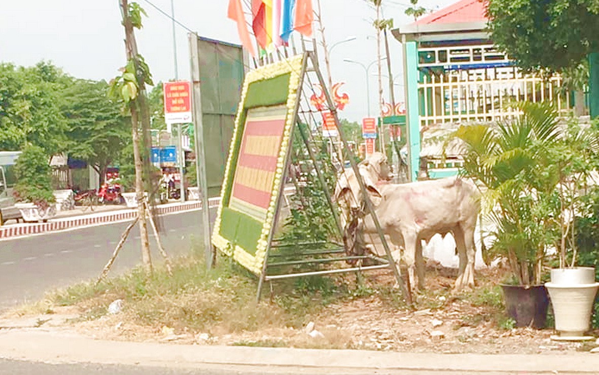 Xe b&ograve; tự chế g&acirc;y họa khi... vượt đ&egrave;n đỏ - Ảnh 2.