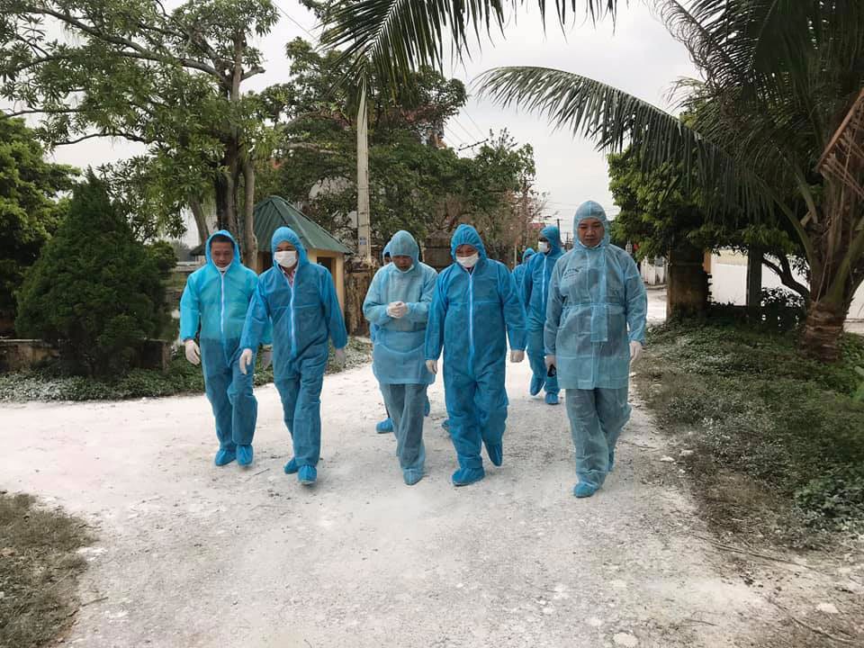 Dịch tả heo châu Phi bùng phát