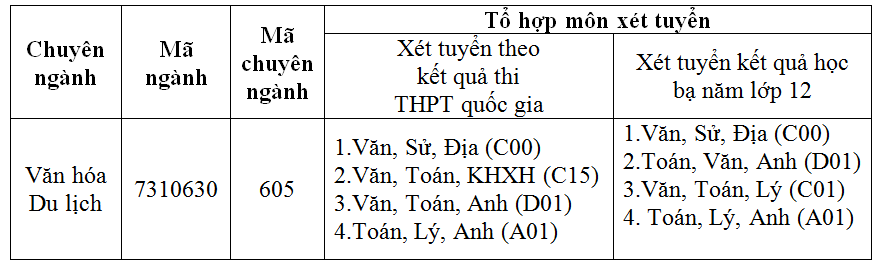 Giảng vi&ecirc;n ng&agrave;nh Việt Nam học trăn trở nghiệp dạy học - Ảnh 4.
