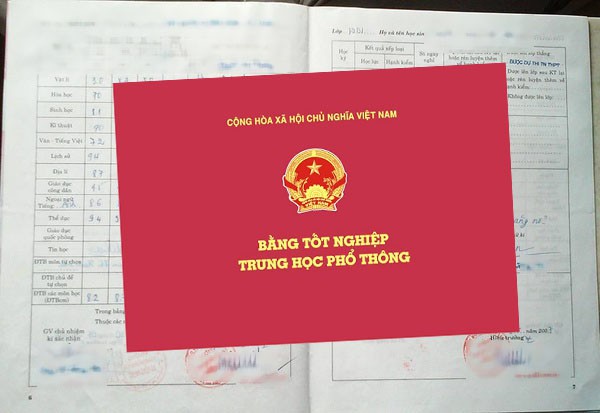 Được bổ nhiệm phó chánh văn phòng huyện ủy nhưng chưa tốt nghiệp THPT