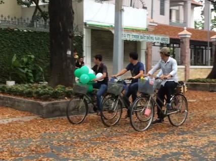 “Vũ điệu” chò nâu quyến rũ phố phường Sài Gòn