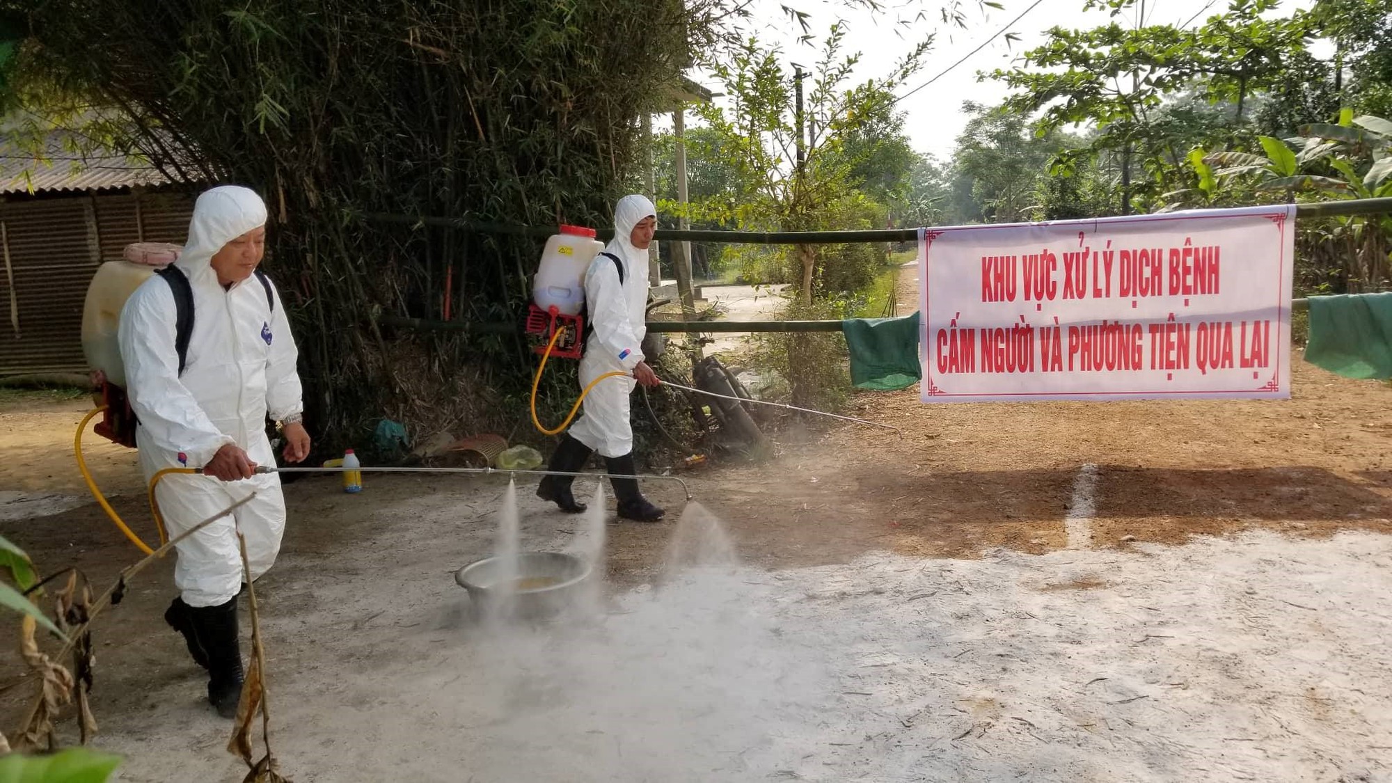 Thêm điểm dịch tả heo châu Phi thứ 2 tại Thừa Thiên - Huế