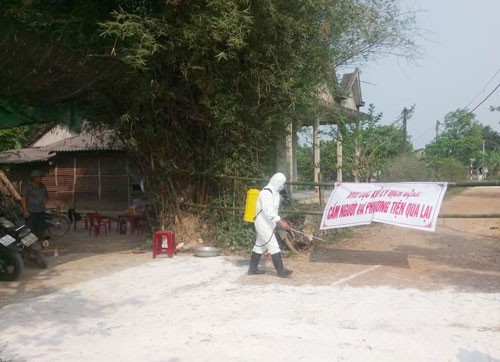 Heo rừng nghi bị dịch tả heo châu Phi
