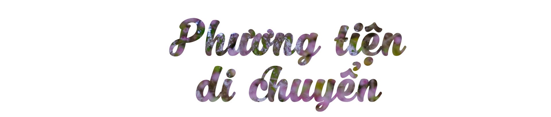 Quy Nhơn, thiên đường du lịch giữa lòng miền Trung - Ảnh 1.