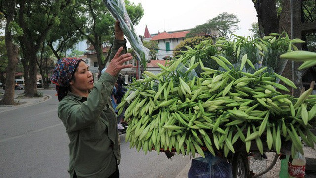 Loài hoa “hái ra tiền” bỗng dưng mất tích ở thủ phủ hoa Tây Tựu - Ảnh 5.