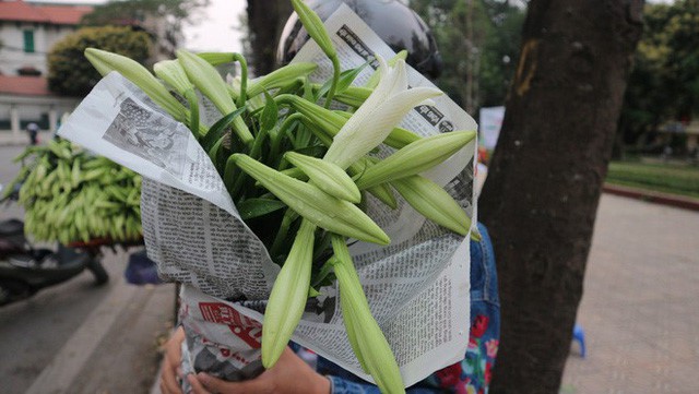 Loài hoa “hái ra tiền” bỗng dưng mất tích ở thủ phủ hoa Tây Tựu - Ảnh 6.