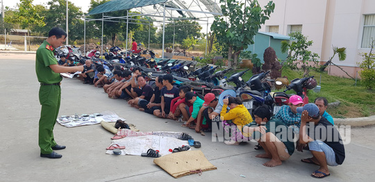 Triệt xóa trường gà có cả "bóng hồng" tham gia