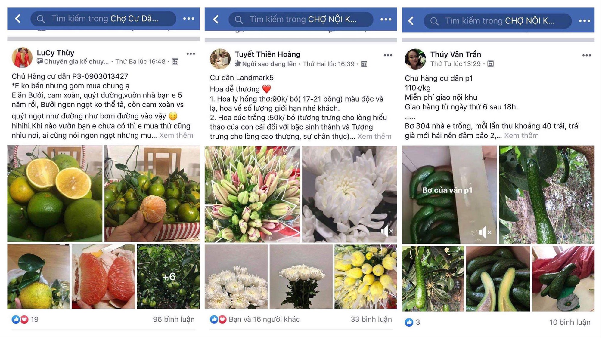 Nhộn nhịp "chợ online" ở chung cư