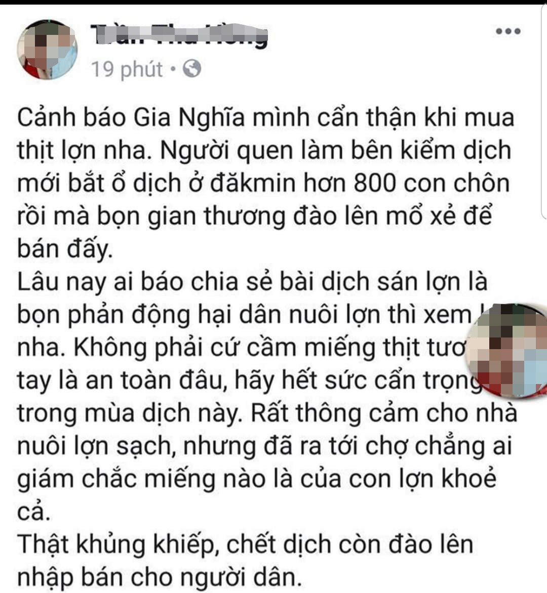 Bịa đặt th&ocirc;ng tin 800 con heo bị dịch bệnh đ&agrave;o l&ecirc;n để b&aacute;n - Ảnh 1.
