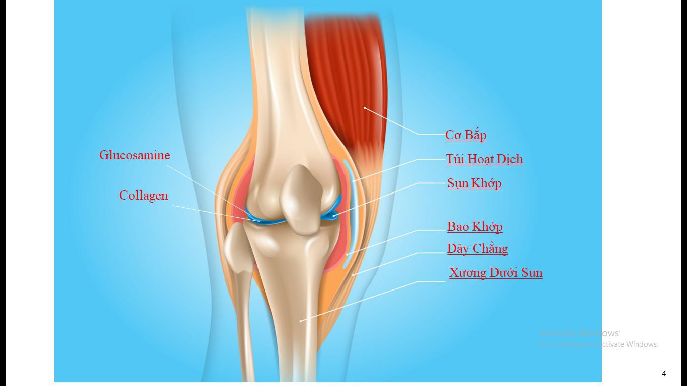 Ph&ograve;ng ngừa tho&aacute;i h&oacute;a khớp ngay từ khi c&ograve;n trẻ - Ảnh 1.