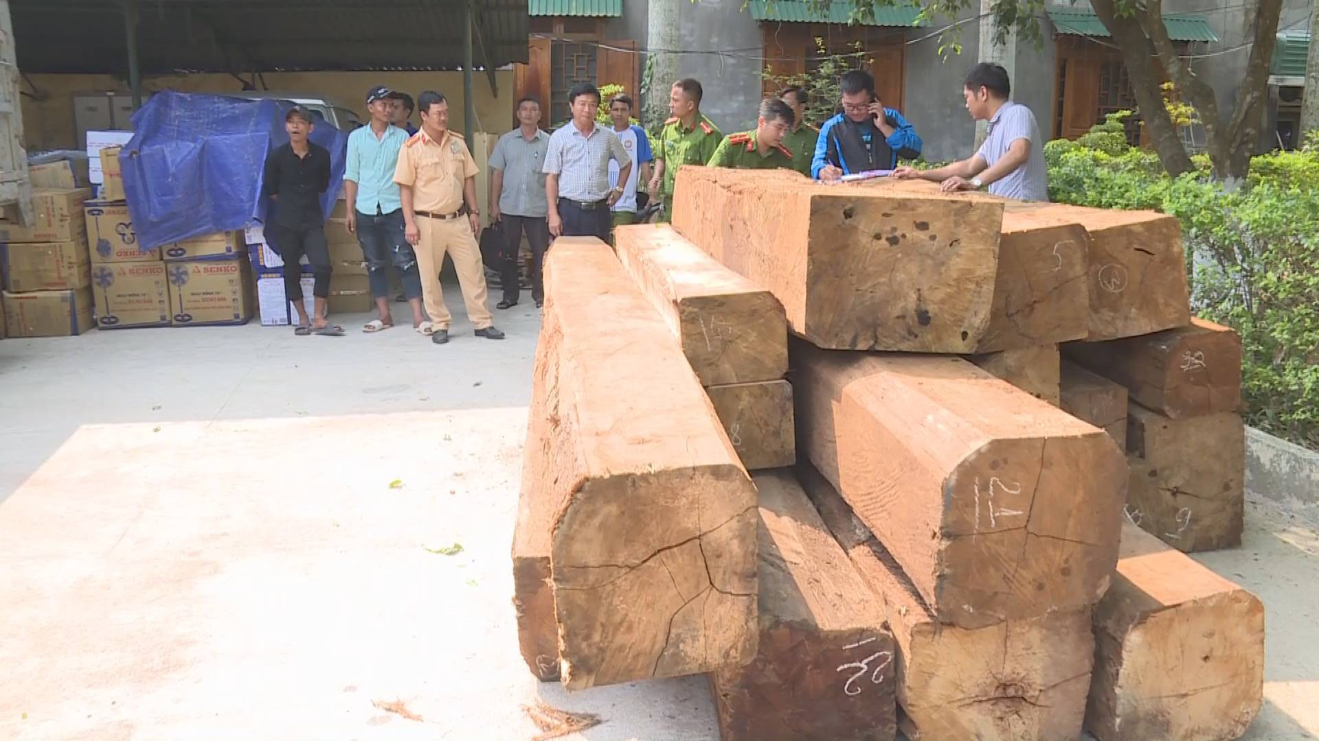 Truy bắt xe tải chở gỗ lậu mang theo dùi cui điện