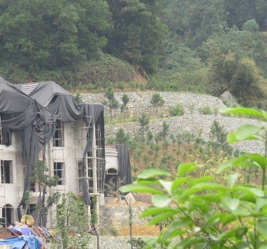 Bình Định kỷ luật 2 tổ chức, 47 Đảng viên vi phạm