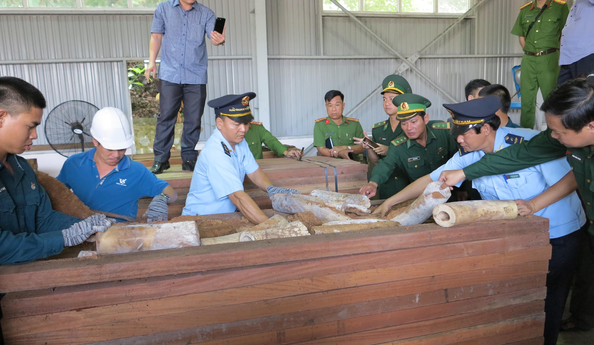 Đà Nẵng: Bắt giữ lô hàng nghi là ngà voi lên đến 9,1 tấn