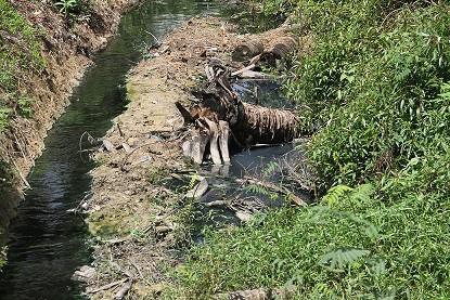 Vụ HS đeo khẩu trang nghe giảng: &ldquo;Tối hậu thư&rdquo; cho doanh nghiệp g&acirc;y &ocirc; nhiễm - Ảnh 1.