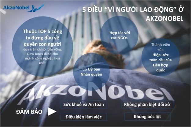 Động lực ph&aacute;t triển của AkzoNobel: kh&ocirc;ng phải c&acirc;u chuyện doanh số - Ảnh 1.