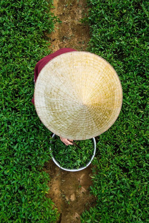 Đi đ&acirc;u chơi nếu chỉ c&oacute; một ng&agrave;y ở Hội An? - Ảnh 2.