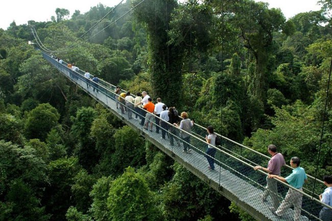 9 điểm du lịch miễn ph&iacute; tuyệt đẹp n&ecirc;n đến ở Singapore - Ảnh 8.