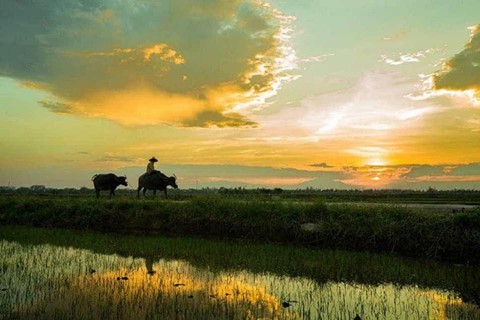 Đi đ&acirc;u chơi nếu chỉ c&oacute; một ng&agrave;y ở Hội An? - Ảnh 5.
