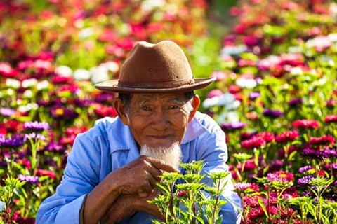 Đi đ&acirc;u chơi nếu chỉ c&oacute; một ng&agrave;y ở Hội An? - Ảnh 6.