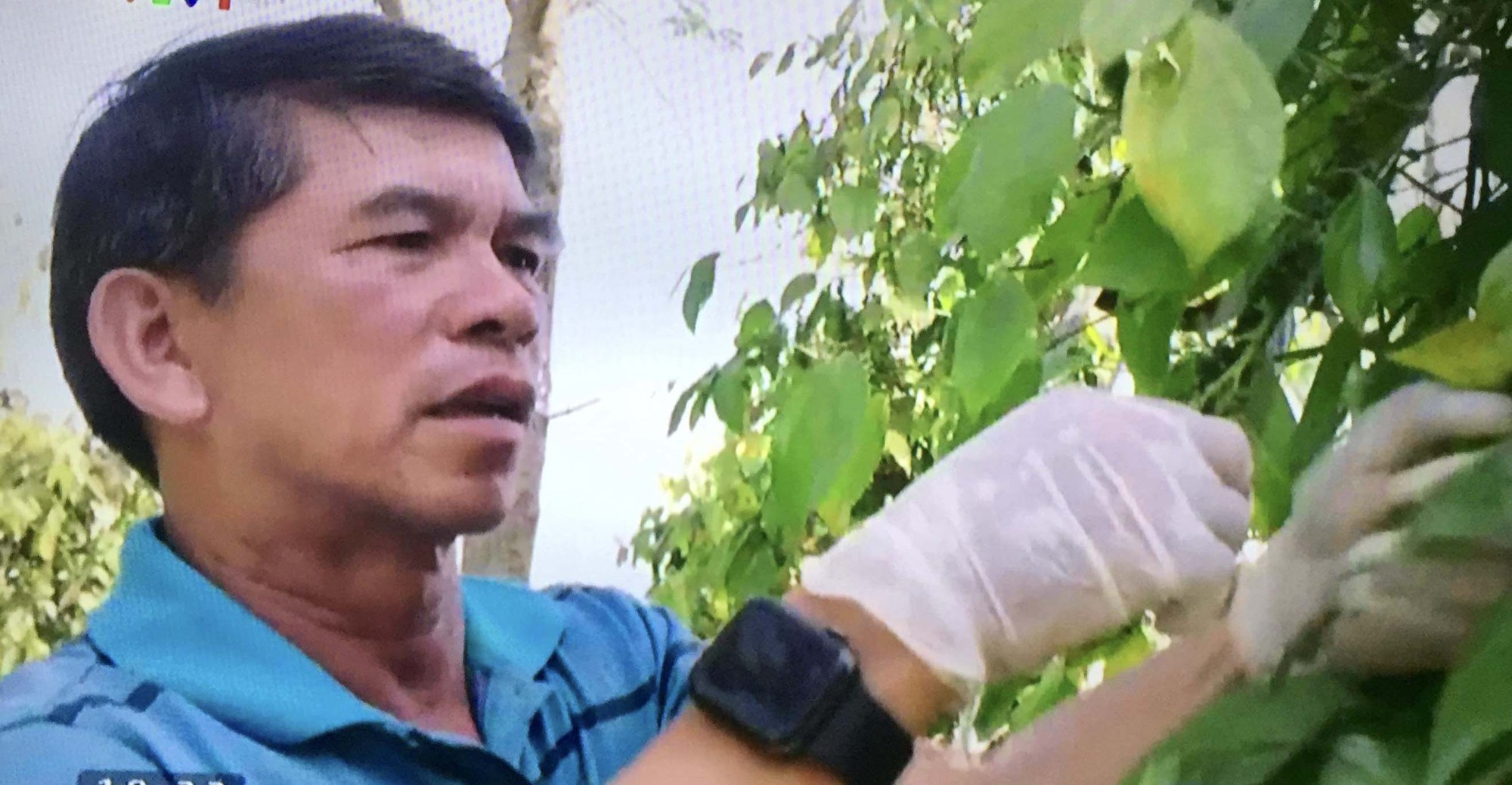 Huỳnh Mau: Lão nông chưa quên bóng đá