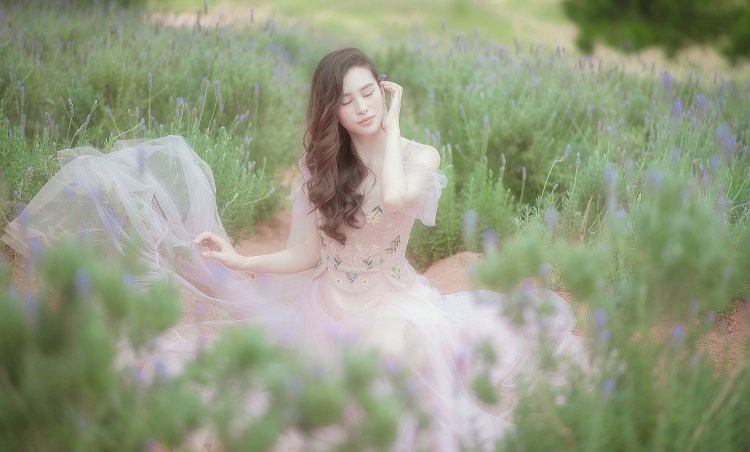 Hoa hậu Tiểu Vy: Người của công chúng dễ bị đem ra so sánh