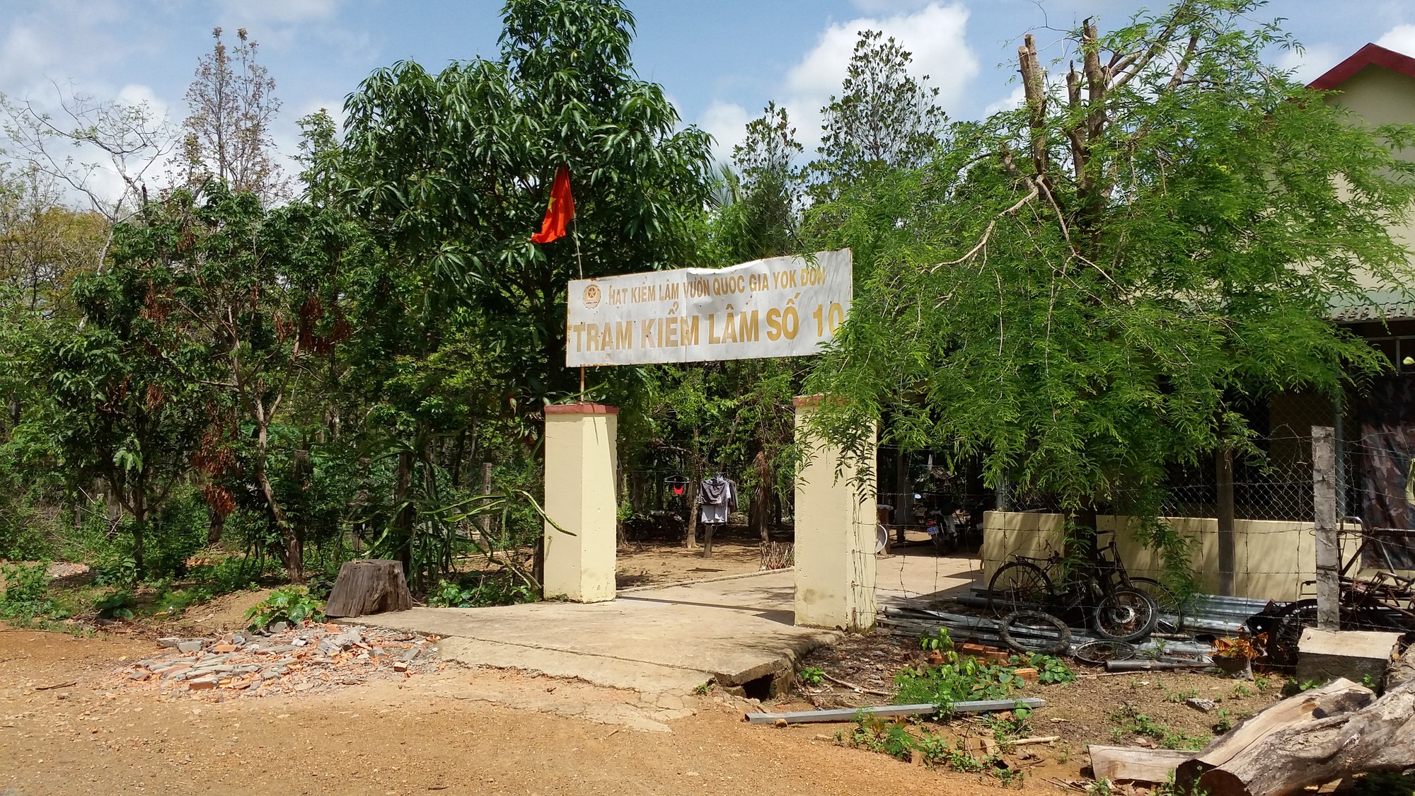Trạm trưởng kiểm lâm nhận hối lộ của trùm gỗ lậu Phượng "râu"