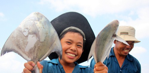 Cá chim "tràn" sát bờ biển BR-VT, ngư dân hốt bạc