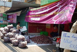 "Giải cứu" mút mùa...