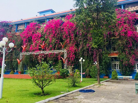 Giới trẻ rủ nhau sống ảo bên bức tường nổi tiếng ở Bình Dương - Ảnh 11.