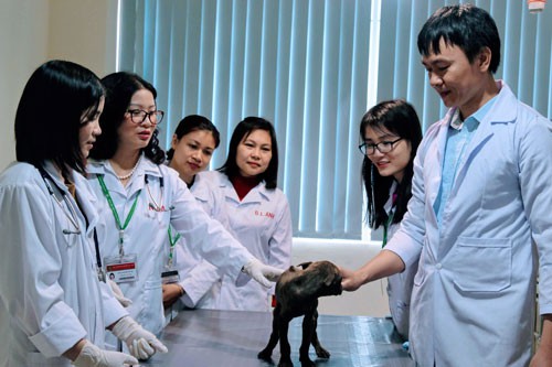 Những phụ nữ vì cộng đồng: Nữ giáo sư thú y trẻ nhất nhận giải Kovalevskaia