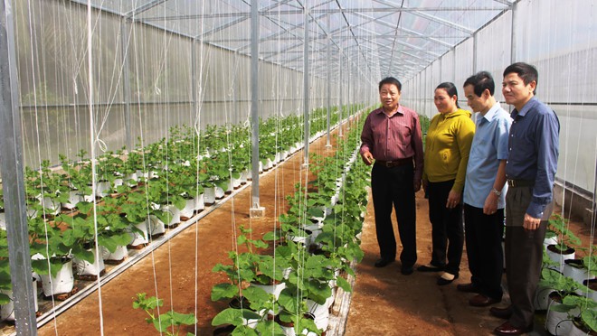 Cả dòng họ phất lên nhờ xuất khẩu lao động
