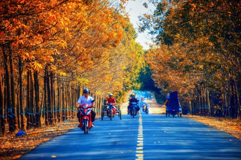 T&acirc;y Ninh - v&ugrave;ng đất cuốn h&uacute;t từ vẻ đẹp b&igrave;nh dị giữa đời thường - Ảnh 17.