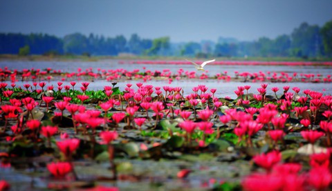 Tây Ninh - vùng đất cuốn hút từ vẻ đẹp bình dị giữa đời thường