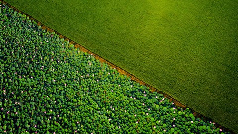 T&acirc;y Ninh - v&ugrave;ng đất cuốn h&uacute;t từ vẻ đẹp b&igrave;nh dị giữa đời thường - Ảnh 7.