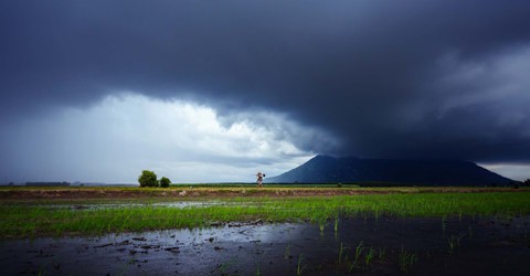 T&acirc;y Ninh - v&ugrave;ng đất cuốn h&uacute;t từ vẻ đẹp b&igrave;nh dị giữa đời thường - Ảnh 10.