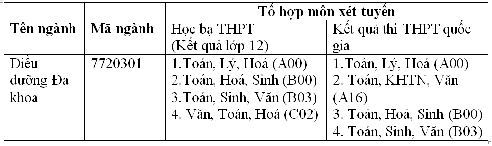 Ng&agrave;nh Điều dưỡng Duy T&acirc;n với học bổng &ldquo;Xuất ngoại&rdquo; - Ảnh 3.