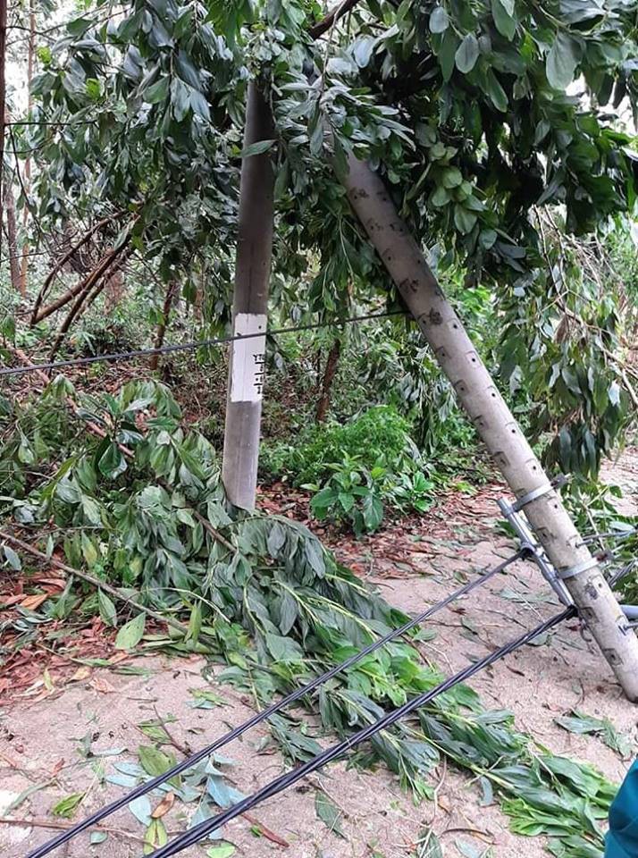 Lốc xoáy kinh hoàng gây thiệt hại nặng ở Quảng Nam - Ảnh 4.