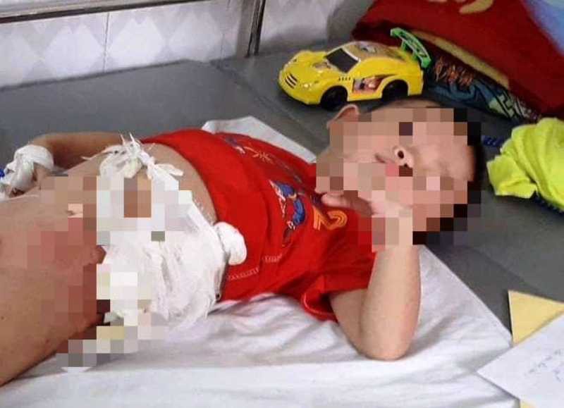Xin miếng dưa chuột kh&ocirc;ng được, cậu nhẫn t&acirc;m n&eacute;m ch&aacute;u v&agrave;o đống lửa - Ảnh 1.
