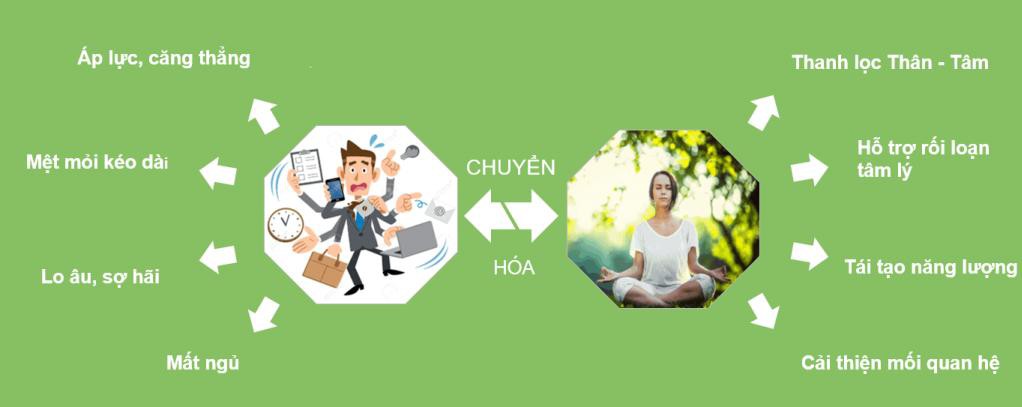 Khóa học thiền cơ bản cho người bận rộn - Ảnh 1.
