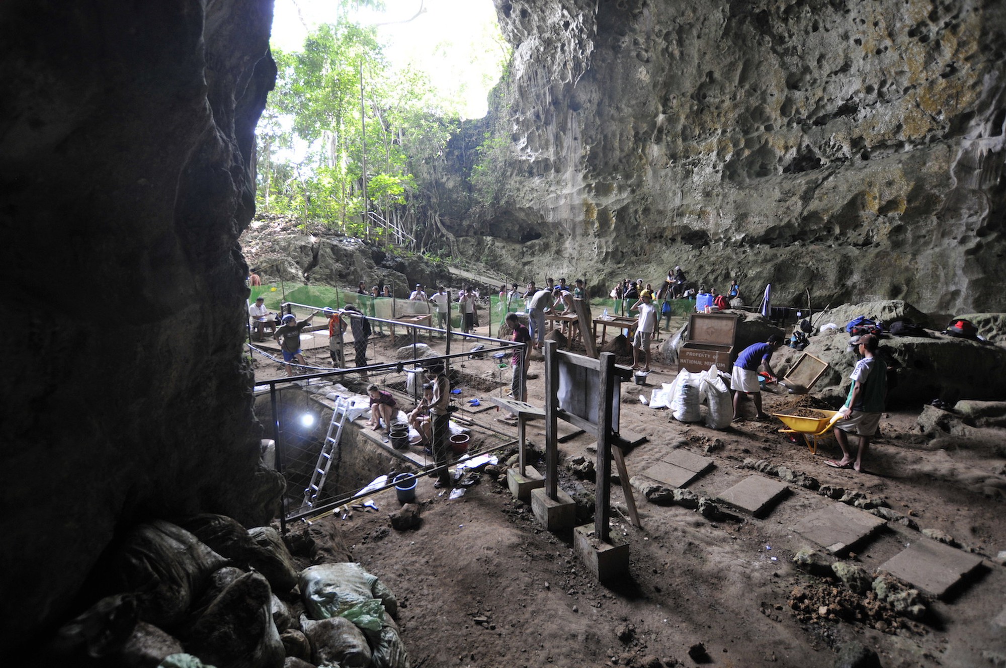 Ph&aacute;t hiện lo&agrave;i người ho&agrave;n to&agrave;n mới ở Philippines - Ảnh 1.